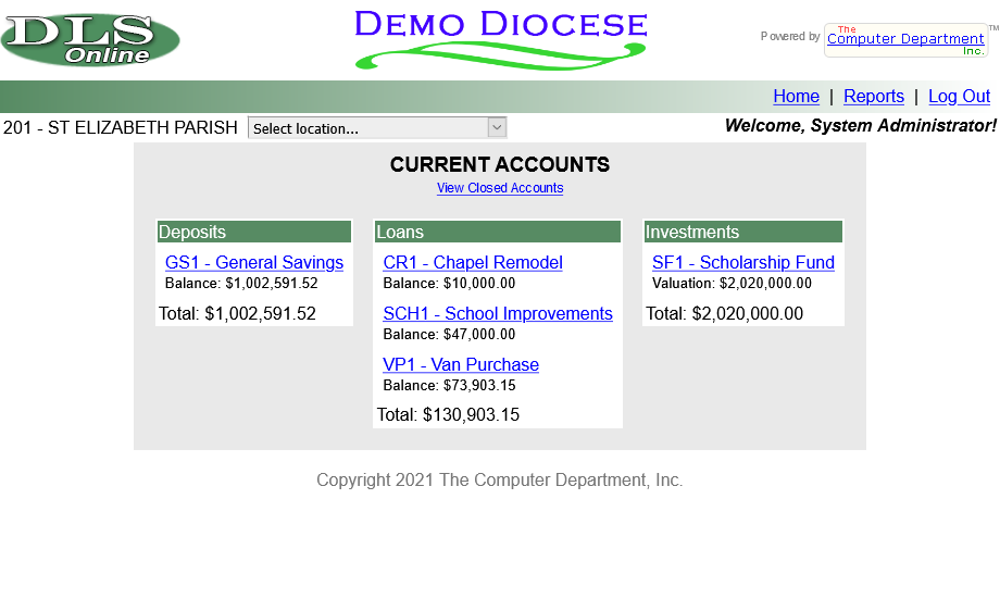 screenshot of DLS Financials